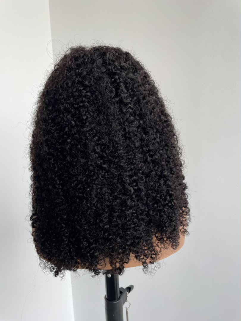 Afro Kinky Curly Wig 200% Density Glueless HD Lace Wig with Kinky Edges